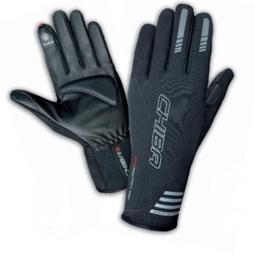 Chiba Performer Summer